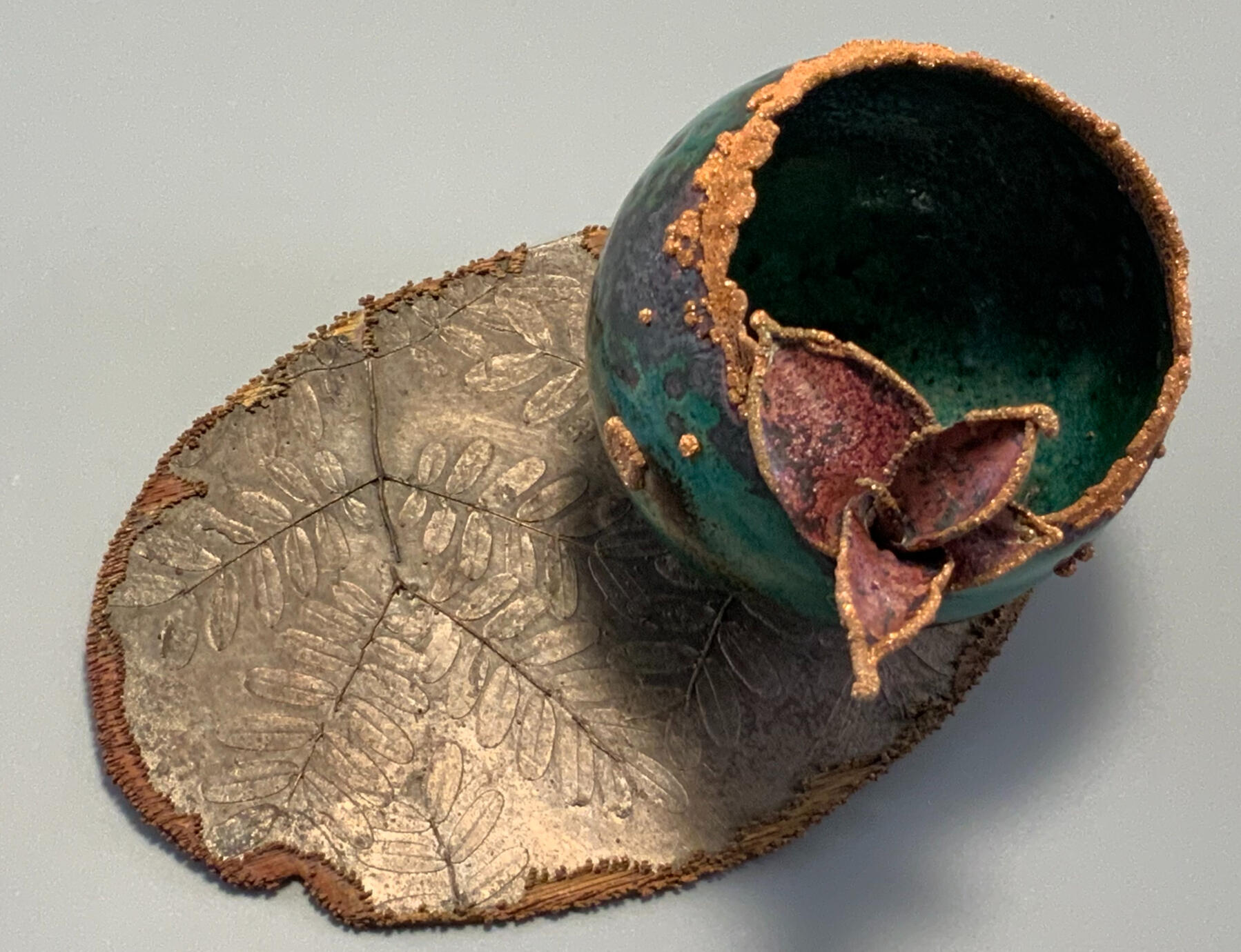 Turquoise Nest and PaloVerde Shadow